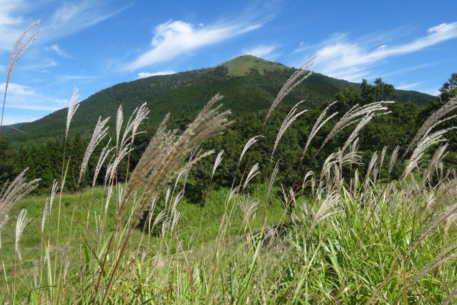 Les Hauteurs du Mont Aso en Automne