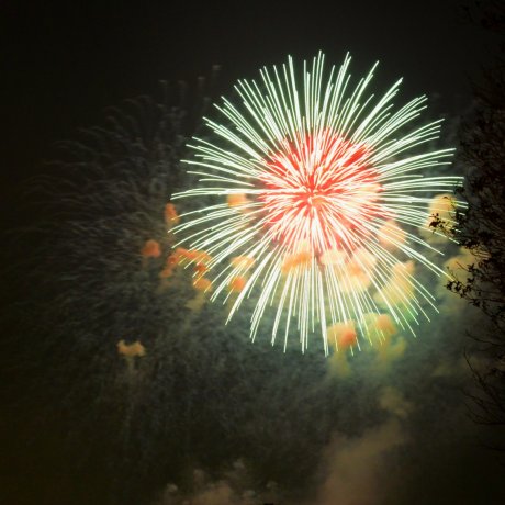 Hanabi: feux d'artifice d'été Hanabi: feux d'artifice d'été