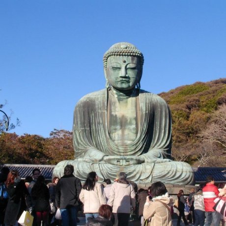 Le Daibutsu de Kamakura Le Daibutsu de Kamakura