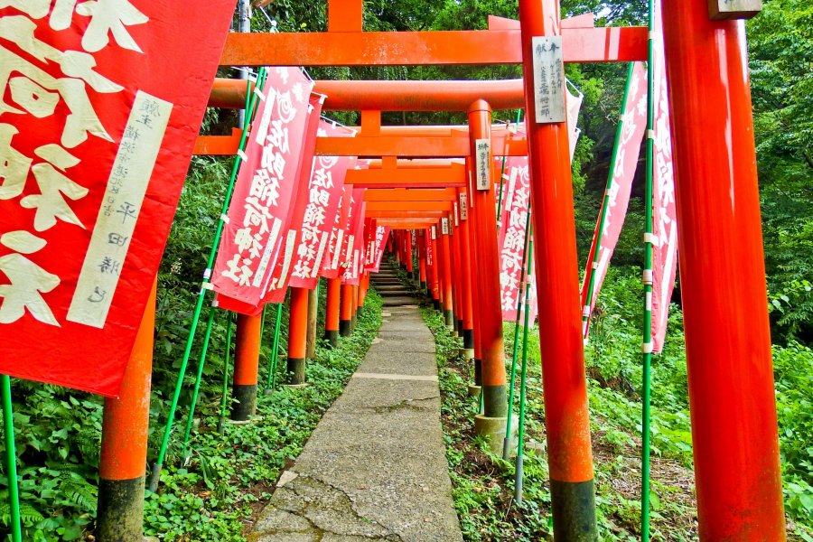 Sanctuaire Sasuke Inari à Kamakura