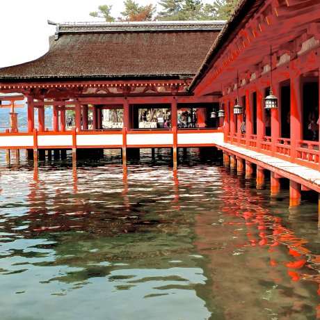 Itsukushima à Marée Haute Itsukushima à Marée Haute