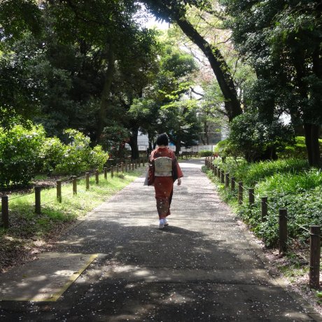 Jardin du Musée National de Tokyo Jardin du Musée National de Tokyo