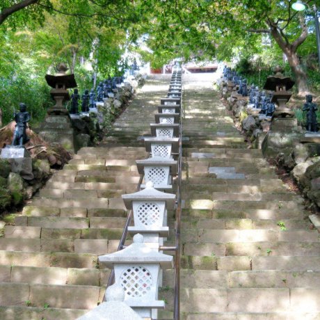 Superbe Randonnée au Mont Ōyama Superbe Randonnée au Mont Ōyama