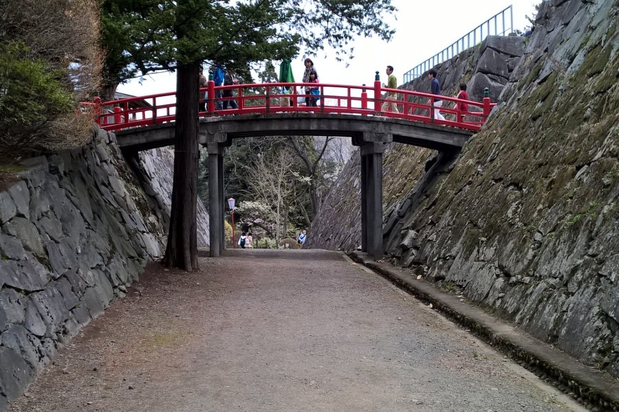 Le Parc d'Iwate Tout Epanoui