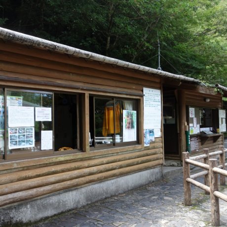 L'île de Yakushima L'île de Yakushima