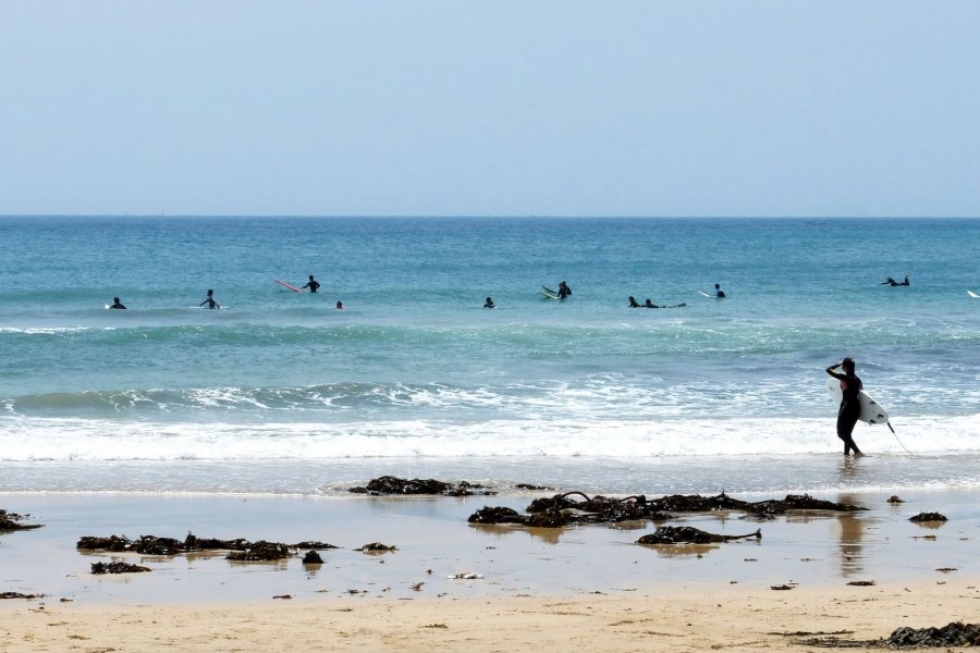 Vues sur les Surfeurs et l'Océan