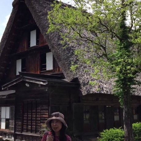 Le village de Shirakawa-Go Le village de Shirakawa-Go