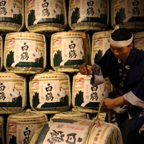 Que Faire à Kobe ? Que Faire à Kobe ?