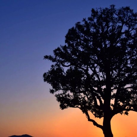 Crépuscule au Parc Nishiyama, Fukui Crépuscule au Parc Nishiyama, Fukui