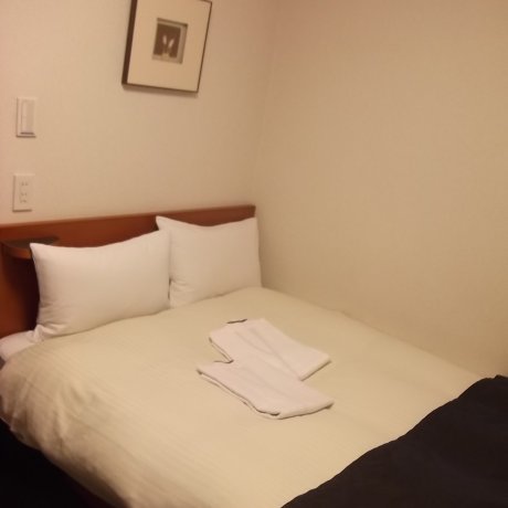 Hotel MyStays Kanda Hotel MyStays Kanda