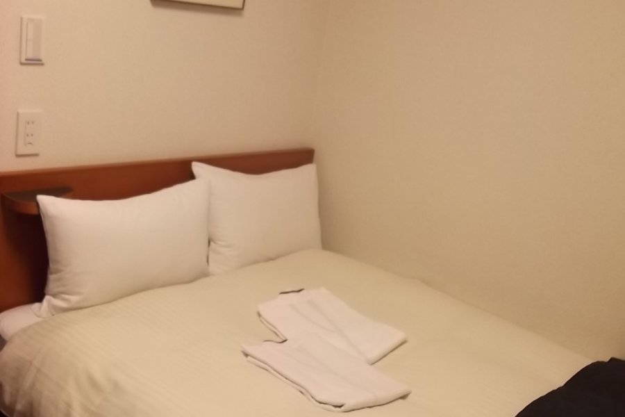 Hotel MyStays Kanda