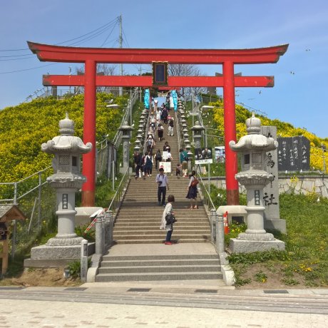 La Côte de Sanriku La Côte de Sanriku