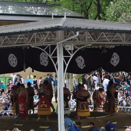 Du Sumo au Sanctuaire Yasukuni Du Sumo au Sanctuaire Yasukuni