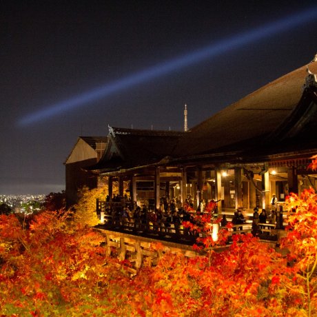 Illuminations au Kiyomizu-dera Illuminations au Kiyomizu-dera