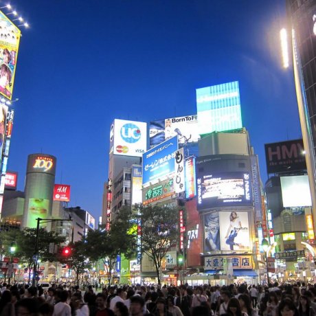 Le Shibuya Crossing Le Shibuya Crossing