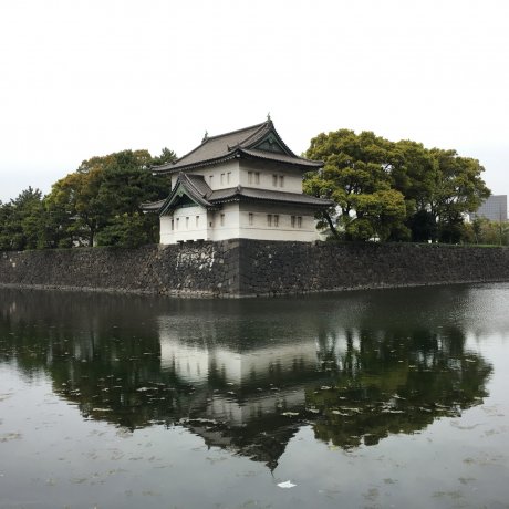 Thực tập tại Japan Travel năm 2017 Thực tập tại Japan Travel năm 2017