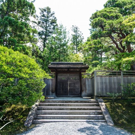 Villa Impériale Shugakuin Villa Impériale Shugakuin