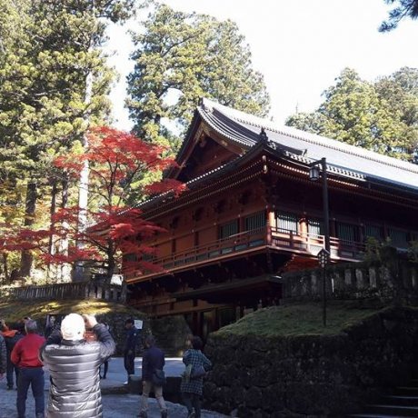 Le Kōyō à Nikko ! Le Kōyō à Nikko !