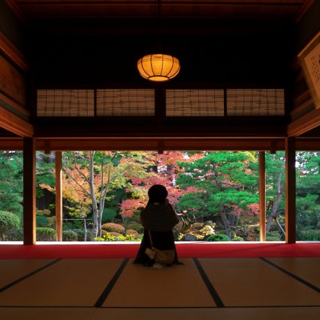Que faire dans la ville de Niigata Que faire dans la ville de Niigata