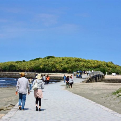 Les Rochers d'Aoshima Les Rochers d'Aoshima