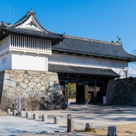 Top 10 Experiences in Saga Top 10 Experiences in Saga