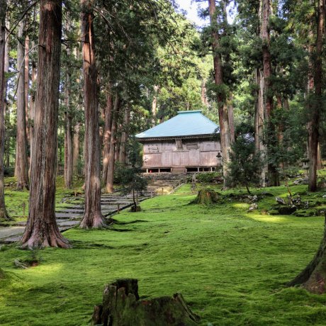 Quatre jours de découvertes dans les préfectures de Fukui et Shiga (du Nord au Sud) Quatre jours de découvertes dans les préfectures de Fukui et Shiga (du Nord au Sud)
