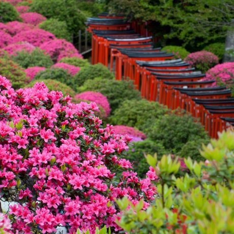 Tokyo's Top 3 Travel Rankings Tokyo's Top 3 Travel Rankings