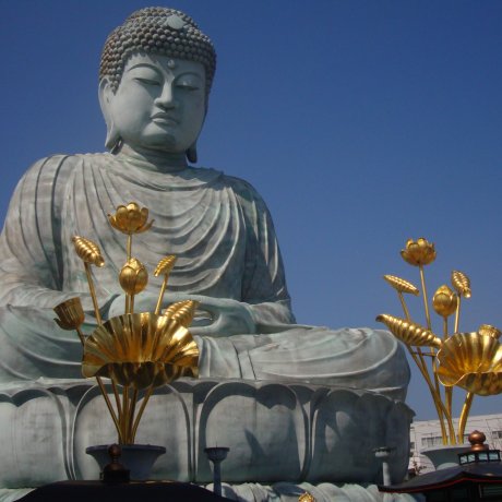 Le Grand Bouddha du Nôfuku-ji Le Grand Bouddha du Nôfuku-ji