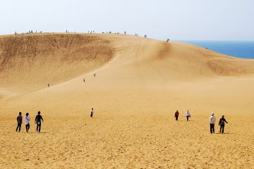 Tottori Sand Dunes Tottori Sand Dunes