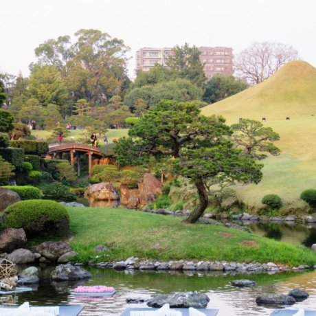 Jardin Suizenji