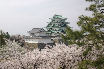 Nagoya Castle Nagoya Castle