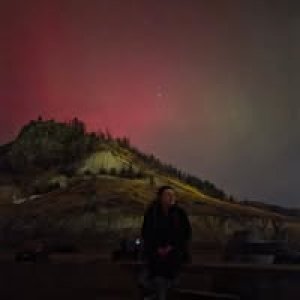 Kylie Plester profile photo