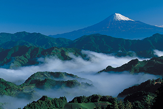 Mt. Fuji from Yoshiwara District